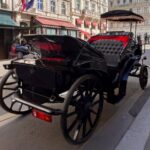Vienna: 60 min. Royal E-Carriage Sightseeing Tour with Drinks - Who Will Love This Tour?