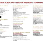 Vienna: Advent, Christmas and New Year's Concerts - Who Should Consider This Experience?