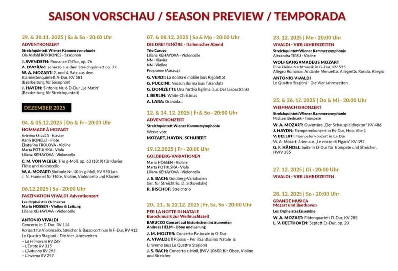 Vienna: Advent, Christmas and New Year's Concerts - Who Should Consider This Experience?