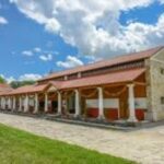 Vienna: Carnuntum Roman city tour with guide - Who Will Love This Experience?