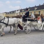 Vienna: Carriage Ride Through Schönbrunn Palace Gardens - An Authentic and Educational Experience