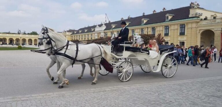 Vienna: Carriage Ride Through Schönbrunn Palace Gardens - An Authentic and Educational Experience