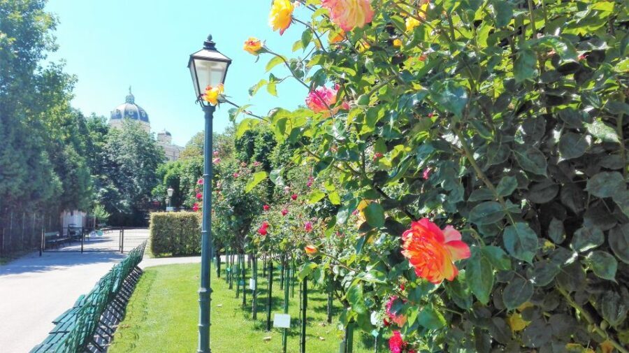 Vienna: City Highlights Guided Walking Tour & Old Town - The Itinerary in Detail