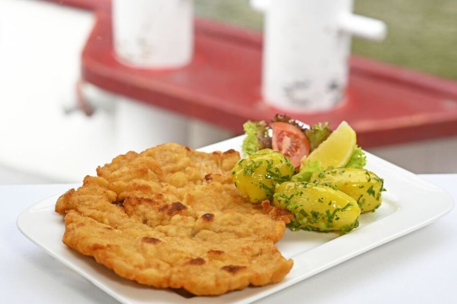 Vienna: Danube River Cruise w/ optional Viennese Specialties - An In-Depth Look at the Danube River Cruise Experience