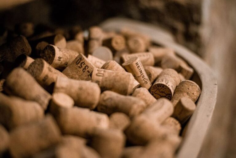 Vienna: Hidden Wine Cellars Tasting Experience - Key Points