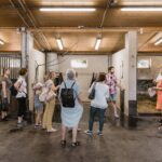 Vienna Horse-drawn Carriage Guided Tour - Who Should Consider This Tour?