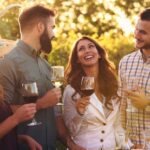 Vienna: Melk, Wachau Wine, Lower Austria Day Trip by Car - Why This Tour Offers Great Value