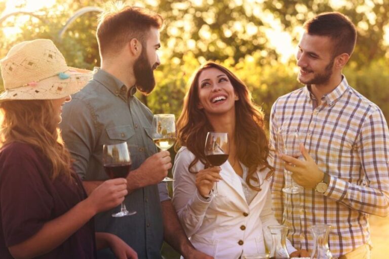 Vienna: Melk, Wachau Wine, Lower Austria Day Trip by Car - Why This Tour Offers Great Value