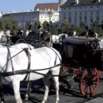 Vienna: Mozart Concert with Dinner and Carriage Ride - The Itinerary Breakdown