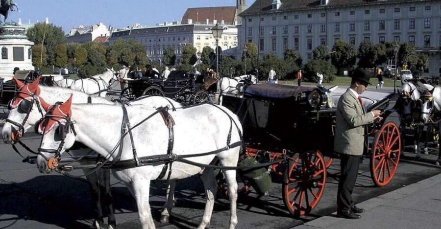Vienna: Mozart Concert with Dinner and Carriage Ride - The Itinerary Breakdown