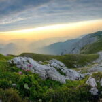 Vienna: Private Day Trip to Schneeberg & Lake Neusiedl - The Value of This Tour