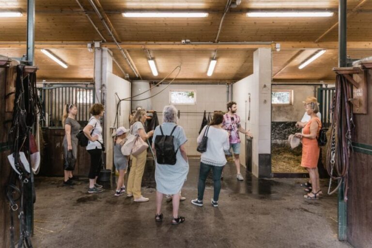 Vienna: Secrets of the Fiaker & Horse-Drawn Carriage Ride - Practical Tips for Visitors