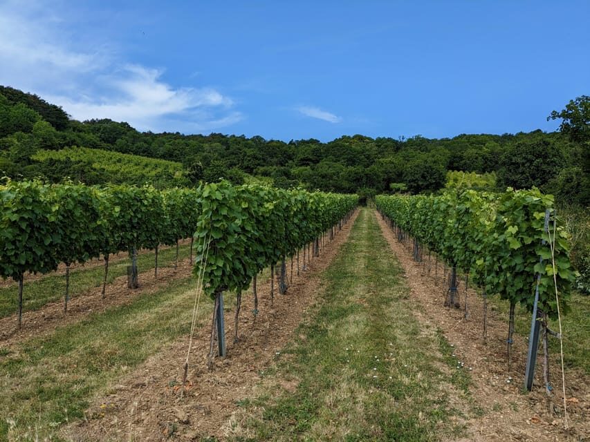 Vienna: Small-Group Wine Tasting Tour - Who Will Enjoy This Tour?