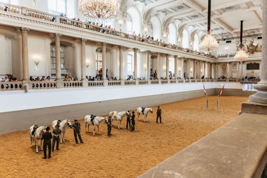 Vienna: Spanish Riding School Training - What to Expect During the Session