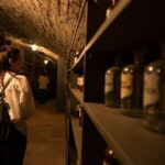 Vienna Underground Guided Walking Tour - A Detailed Breakdown of the Itinerary