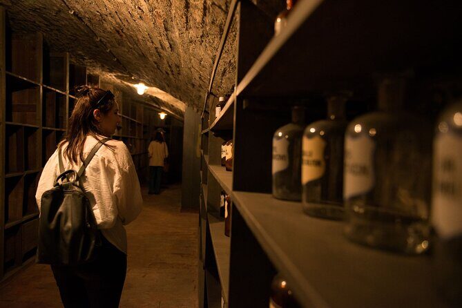 Vienna Underground Guided Walking Tour - A Detailed Breakdown of the Itinerary