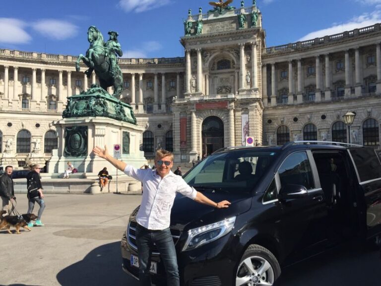 Vienna: Unforgettable Private City Tour - The Majesty of Hofburg Palace and Heroes Square