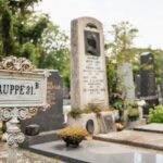 Vienna: Vienna Central Cemetery Guided Walking Tour - An Honest, Detailed Look at the Vienna Central Cemetery Guided Tour