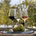 Vienna: Wine Tasting at Schönbrunn Palace - Who Will Love This Experience?