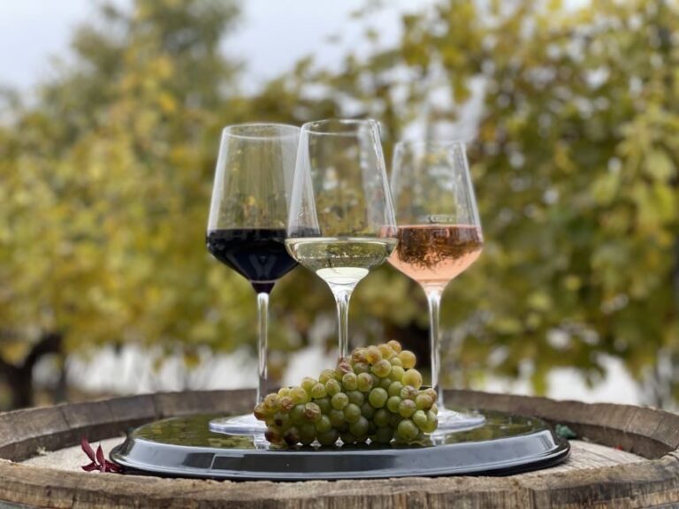 Vienna: Wine Tasting at Schönbrunn Palace - Who Will Love This Experience?