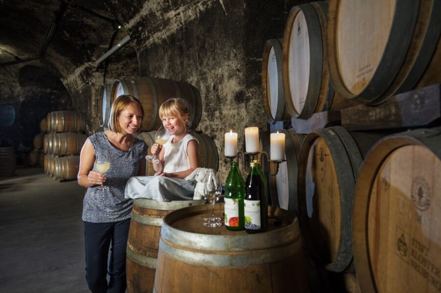 Vienna: Wine Tasting E-Bike Tour - The Value of This Tour
