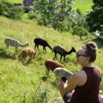 Vik i Sogn: Authentic Farm Visit - Who Should Book This Experience?