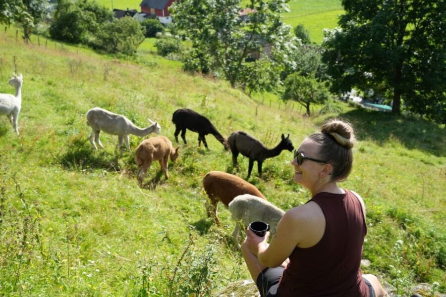Vik i Sogn: Authentic Farm Visit - Who Should Book This Experience?