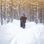 Vikakongas Hike: Nature and Silence - Why Choose the Vikakongas Hike?