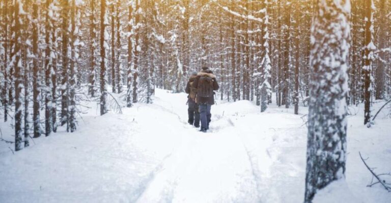 Vikakongas Hike: Nature and Silence - Why Choose the Vikakongas Hike?