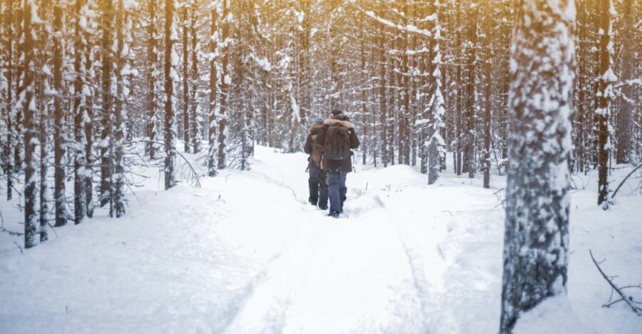 Vikakongas Hike: Nature and Silence - Why Choose the Vikakongas Hike?