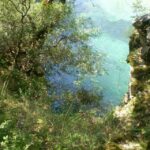 Vikos Gorge Aristi to Klidonia Bridge 3-Hour Hike - Who Would Enjoy This Tour?