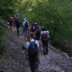 Vikos Gorge Full-Day Guided Hike - Authenticity and What Makes This Tour Stand Out