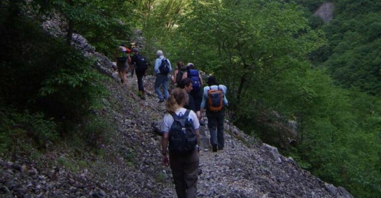 Vikos Gorge Full-Day Guided Hike - Authenticity and What Makes This Tour Stand Out