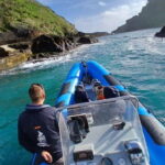 Vila Franca do Campo: Bird Watching & Snorkeling - A Closer Look at the Vila Franca do Campo Bird Watching & Snorkeling Tour