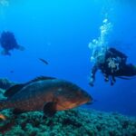 Vila Franca do Campo: Try Scuba Diving - The Underwater Experience