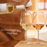 Vila Nova de Gaia: Douro Discovery - What You Can Expect During the Tour