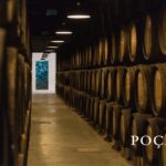 Vila Nova de Gaia: Winery Tour with 2 DOC Douro & 2 Ports - Practical Details and Value