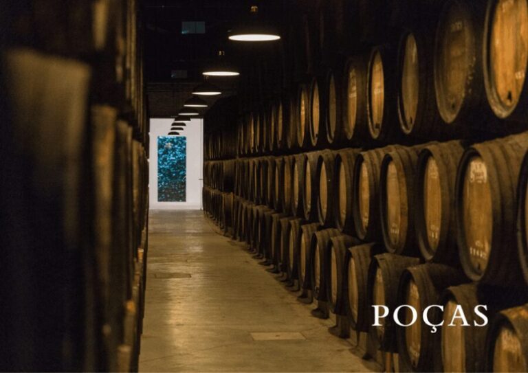 Vila Nova de Gaia: Winery Tour with 2 DOC Douro & 2 Ports - Practical Details and Value