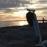 Vilamoura and Quarteira Seaside Segway Tour - Tips & Considerations