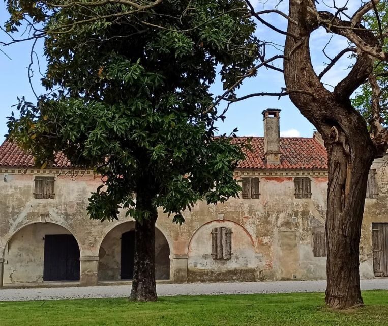 Villa Bogdano 1880: Guided Winery Tour and Tasting - Practical Details and Tips