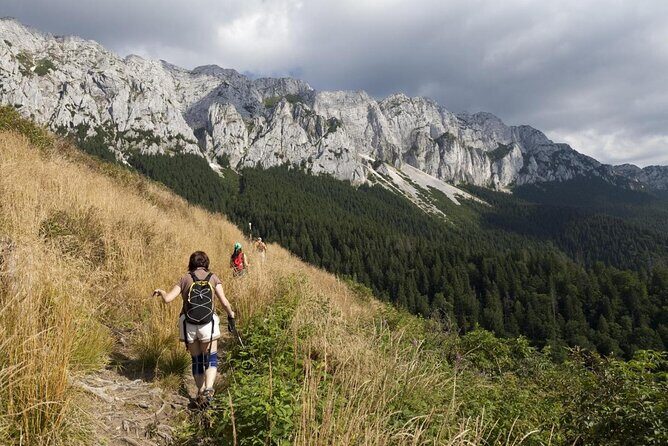 Village life in Transylvanian Carpathian mountains - 8 days - Authentic Experiences and Practical Details