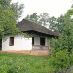 Village Museum Bucharest Guided Tour - The Village Museum Experience