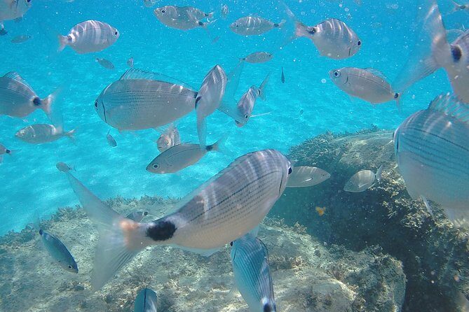 Villasimius and Solanas Beaches Day Trip from Cagliari with van - Authentic Experiences and Genuine Value