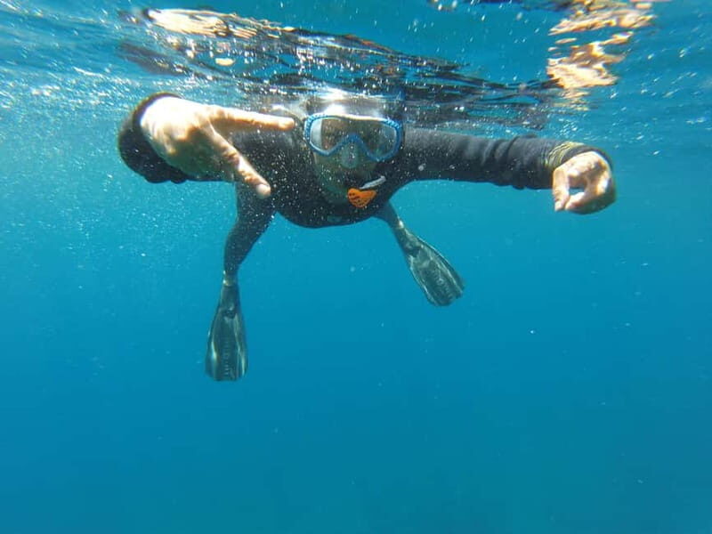 Villefranche-sur-Mer: guided snorkeling to discover the aquatic world - An In-Depth Look at the Snorkeling Experience in Villefranche-sur-Mer
