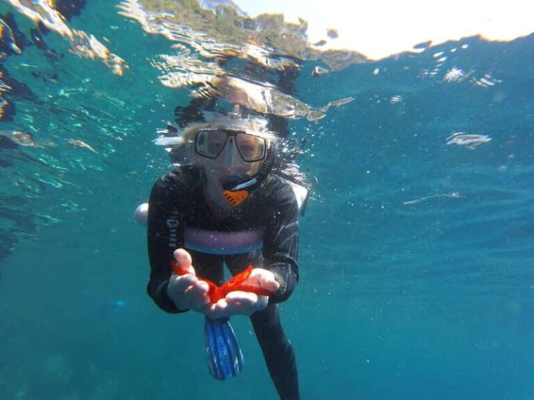 Villefranche-sur-Mer / Nice: snorkeling in privacy on a private boat - A Detailed Look at the Snorkeling Experience
