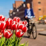 Vilnius: Capture the most Photogenic Spots with a Local - Why This Tour is Worth It