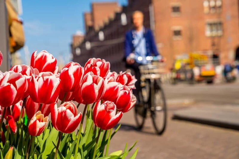 Vilnius: Capture the most Photogenic Spots with a Local - Why This Tour is Worth It