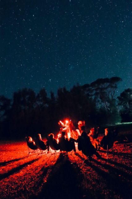 Vincentia: Jervis Bay Beach Stargazing with an Expert - Authentic Experiences and Reviews