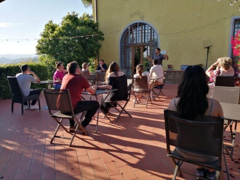 Vinci: Homemade Dinner and Oil Tasting Tour in a Tuscan Farm - Practical Considerations