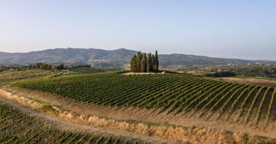 Vinci: wine-experience among the Tuscan hills - The Sum Up: Is This Tour Worth Your Time?